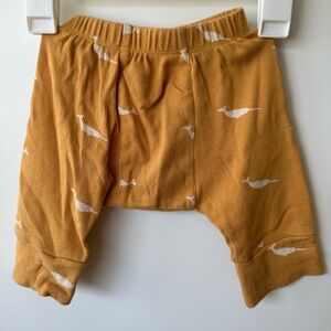 Kate Quinn panda pants